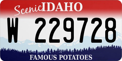 ID license plate W229728