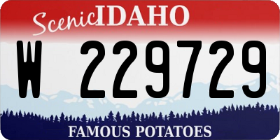 ID license plate W229729