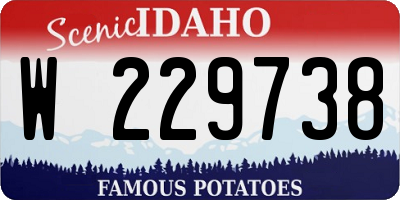 ID license plate W229738