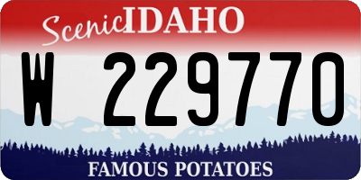 ID license plate W229770