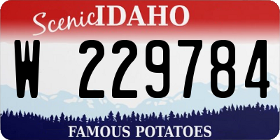 ID license plate W229784