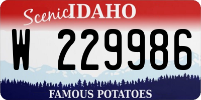 ID license plate W229986