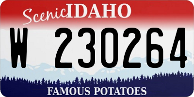 ID license plate W230264