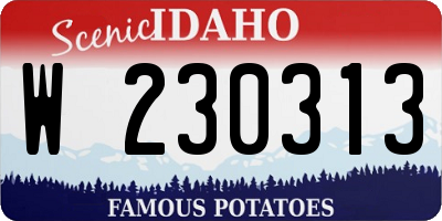 ID license plate W230313