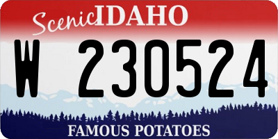 ID license plate W230524