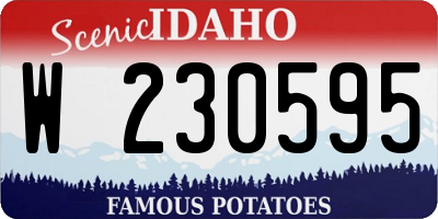 ID license plate W230595