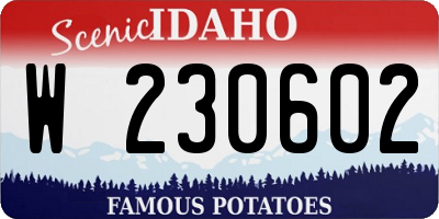 ID license plate W230602
