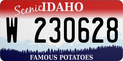 ID license plate W230628