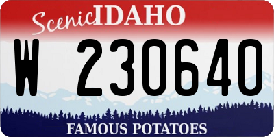 ID license plate W230640