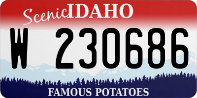 ID license plate W230686