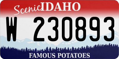 ID license plate W230893