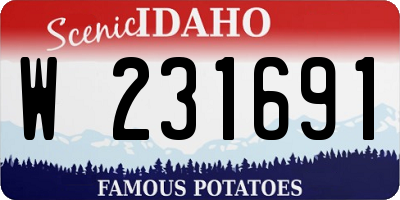 ID license plate W231691
