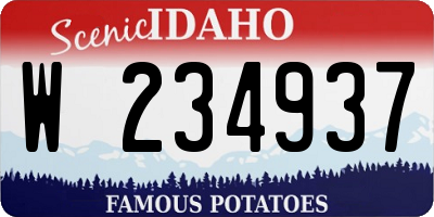 ID license plate W234937