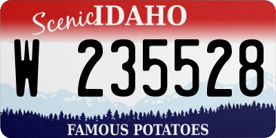 ID license plate W235528