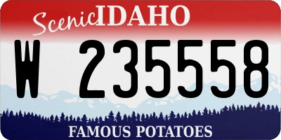 ID license plate W235558