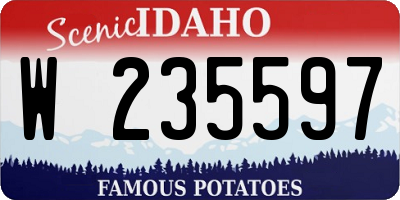 ID license plate W235597