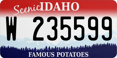 ID license plate W235599