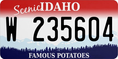 ID license plate W235604