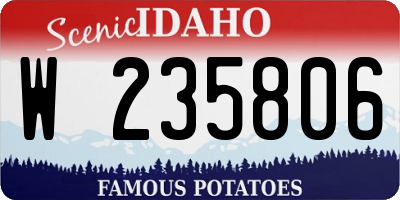 ID license plate W235806