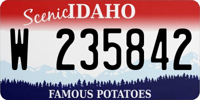 ID license plate W235842