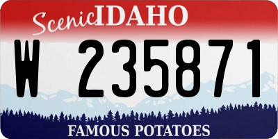 ID license plate W235871