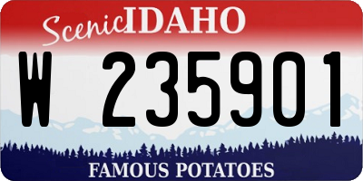 ID license plate W235901