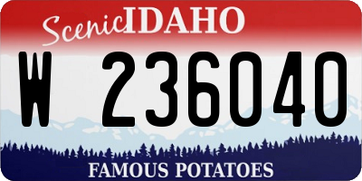 ID license plate W236040