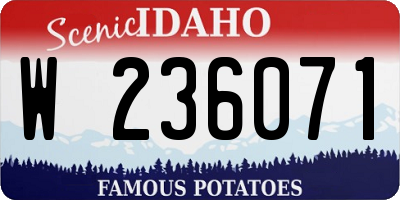 ID license plate W236071