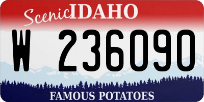 ID license plate W236090