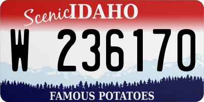 ID license plate W236170