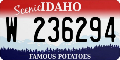 ID license plate W236294