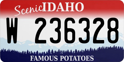 ID license plate W236328
