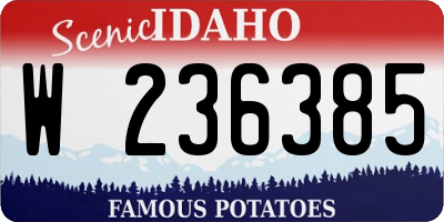 ID license plate W236385
