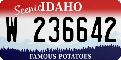 ID license plate W236642
