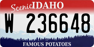ID license plate W236648