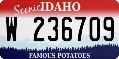 ID license plate W236709