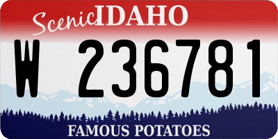ID license plate W236781