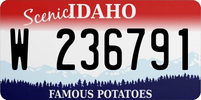 ID license plate W236791