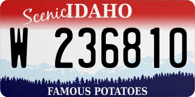ID license plate W236810