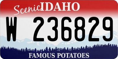 ID license plate W236829