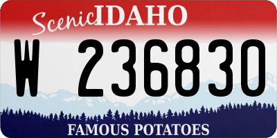 ID license plate W236830