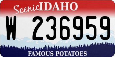 ID license plate W236959