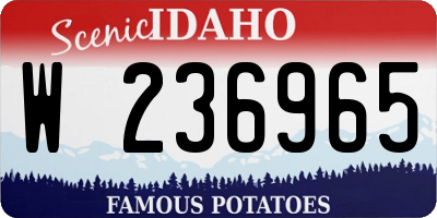 ID license plate W236965