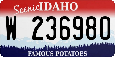 ID license plate W236980