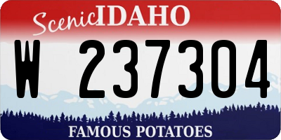 ID license plate W237304