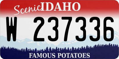 ID license plate W237336