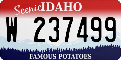 ID license plate W237499