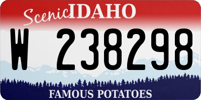 ID license plate W238298