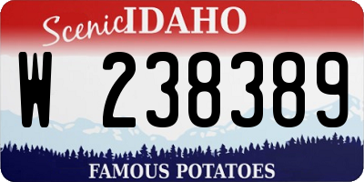 ID license plate W238389