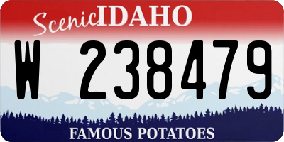 ID license plate W238479